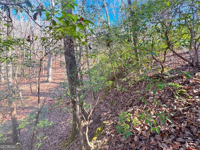 0 Crooked Creek, Jasper, GA 30143