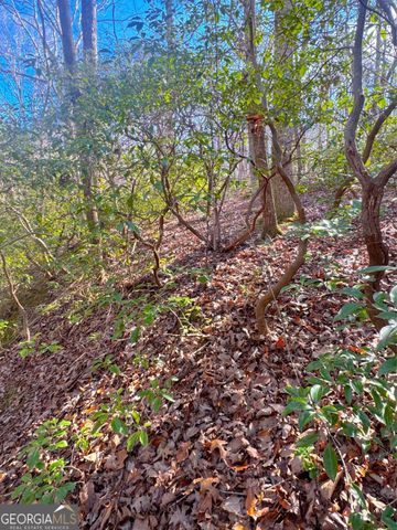 0 Crooked Creek, Jasper, GA 30143