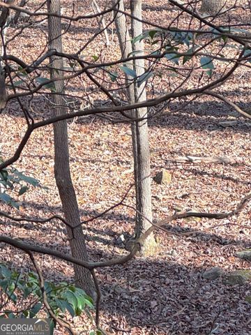 0 Crooked Creek, Jasper, GA 30143