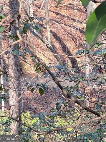 0 Crooked Creek, Jasper, GA 30143