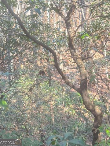 0 Crooked Creek, Jasper, GA 30143