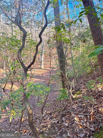 0 Crooked Creek, Jasper, GA 30143