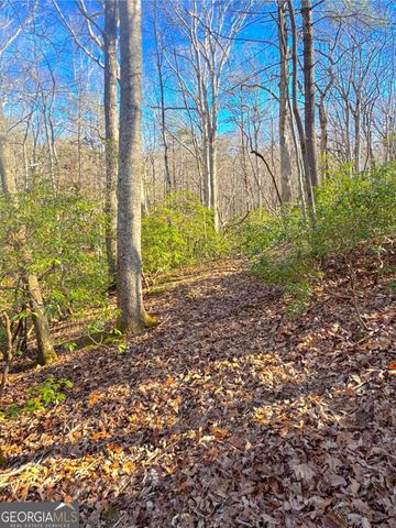 0 Crooked Creek, Jasper, GA 30143