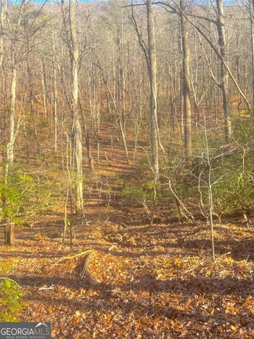 0 Crooked Creek, Jasper, GA 30143