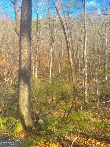 0 Crooked Creek, Jasper, GA 30143