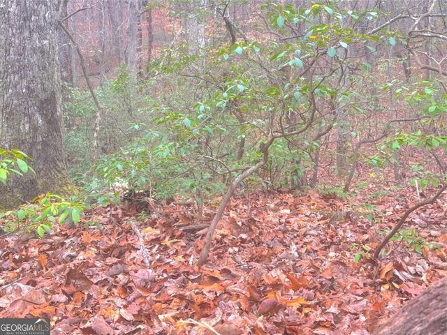 0 Crooked Creek, Jasper, GA 30143