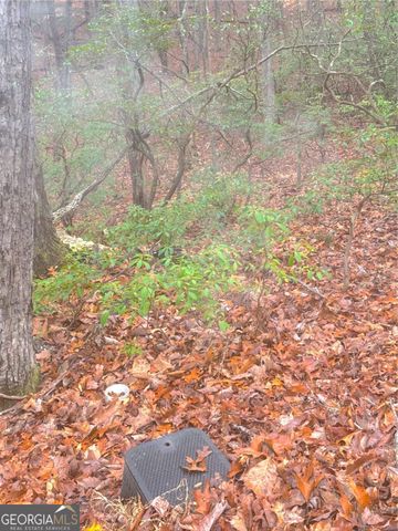 0 Crooked Creek, Jasper, GA 30143