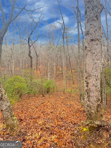 0 Crooked Creek, Jasper, GA 30143