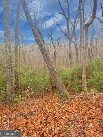 0 Crooked Creek, Jasper, GA 30143