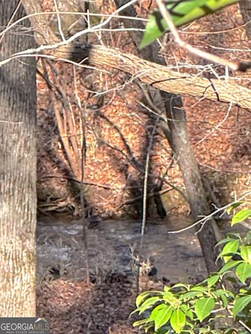 0 Crooked Creek, Jasper, GA 30143