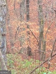 0 Crooked Creek, Jasper, GA 30143