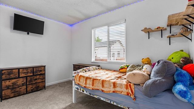 926 E Cleveland Avenue, Fruita, CO 81521