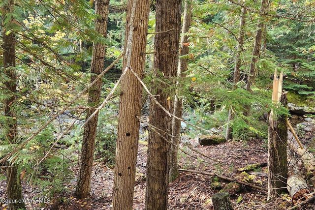 6684 Upper Pack River Rd, Sandpoint, ID 83864