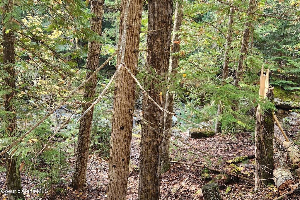 6684 Upper Pack River Rd, Sandpoint, ID 83864 photo 43