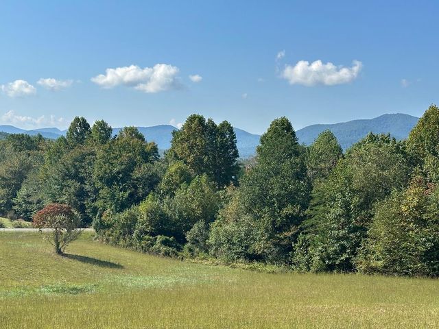 Lot 51 The Preserve At Cc, Young Harris, GA 30582