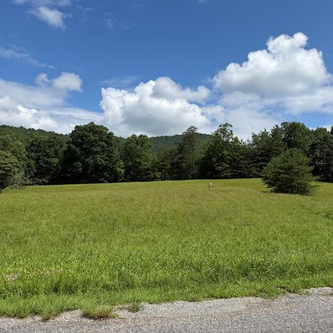 Lot 51 The Preserve At Cc, Young Harris, GA 30582