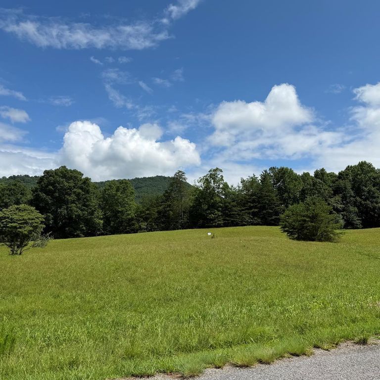 Lot 51 The Preserve At Cc, Young Harris, GA 30582