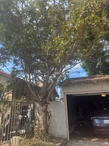 800 W 99th Street, Los Angeles, CA 90044