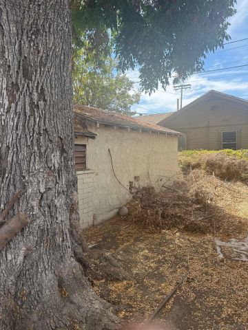 800 W 99th Street, Los Angeles, CA 90044