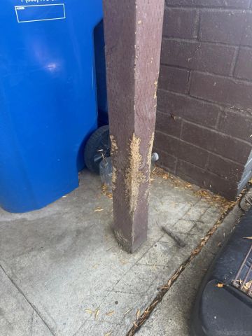 800 W 99th Street, Los Angeles, CA 90044