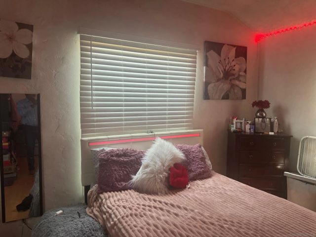 800 W 99th Street, Los Angeles, CA 90044