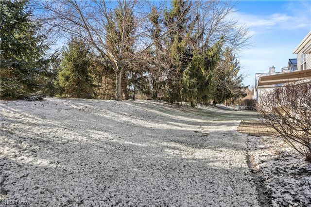 10248 Brighton Circle, Twinsburg, OH 44087