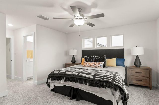 803 White Steppe WAY, Georgetown, TX 78626