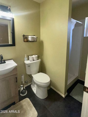 2927 Wildcat Trail, Overgaard, AZ 85933