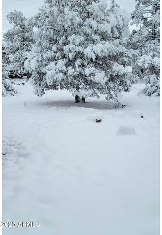 2927 Wildcat Trail, Overgaard, AZ 85933