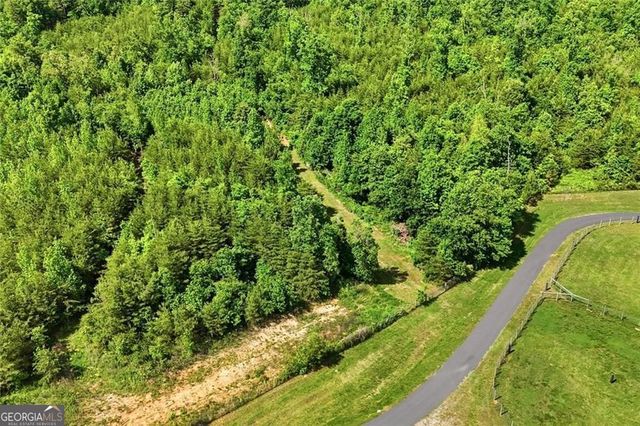 445 E Valley Road NE, Rydal, GA 30171