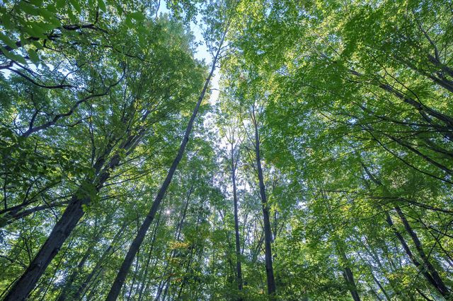 31664 Fish Hatchery Road, Kalamazoo, MI 49009