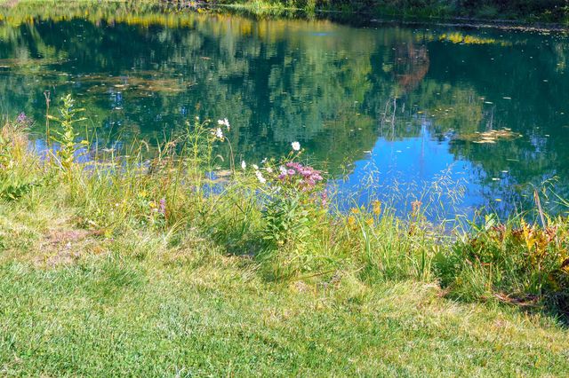 31664 Fish Hatchery Road, Kalamazoo, MI 49009