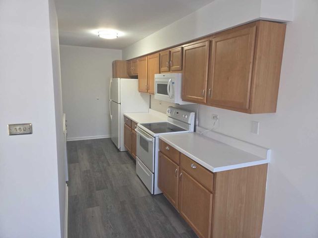 3360 184th Street 1E, Homewood, IL 60430