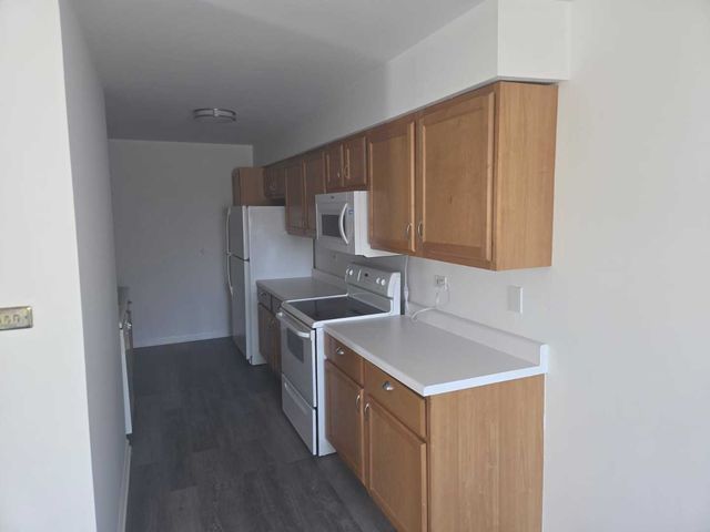 3360 184th Street 1E, Homewood, IL 60430