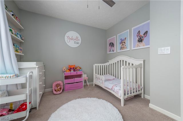 4518 Santina Way, Lorain, OH 44053