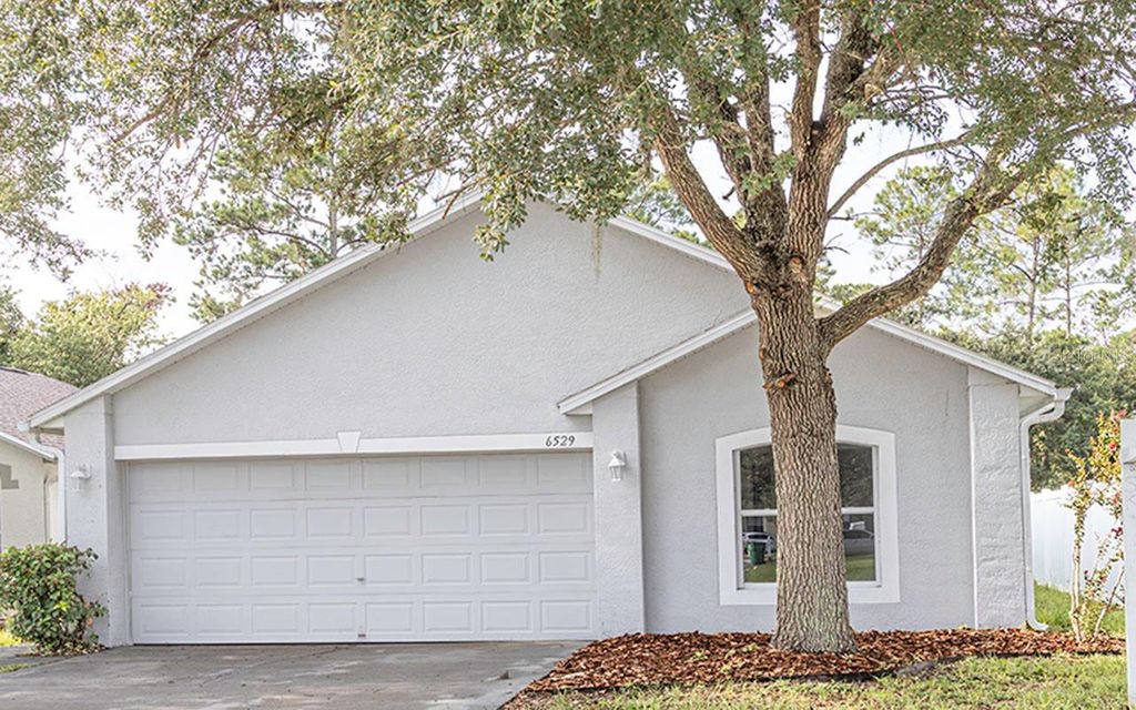 6529 TABOGI TRAIL, Wesley Chapel, FL 33545