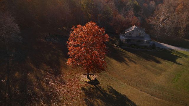 656 Wolf Run Road, Flemingsburg, KY 41041