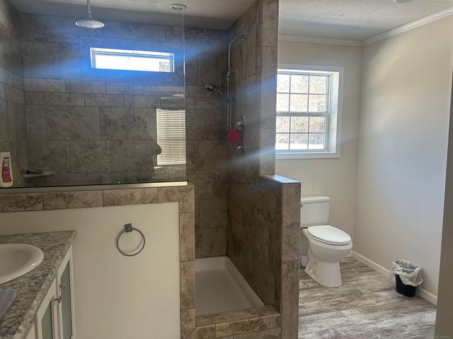 1712 Mt. Forest Road, Pinconning, MI 48650