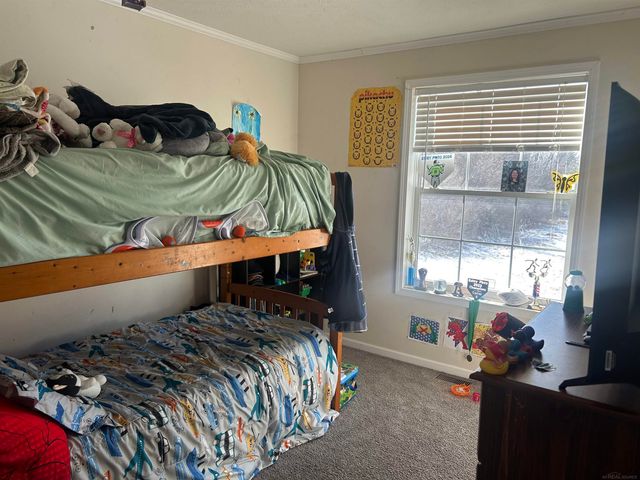 1712 Mt. Forest Road, Pinconning, MI 48650