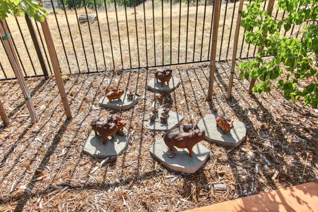 1333 Villagio Dr, El Dorado Hills, CA 95762