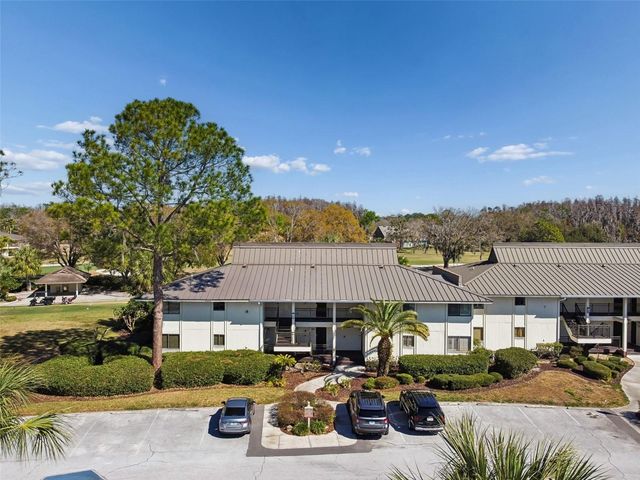 29129 BAY HOLLOW DRIVE 3202, Wesley Chapel, FL 33543