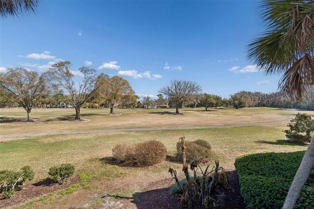 29129 BAY HOLLOW DRIVE 3202, Wesley Chapel, FL 33543