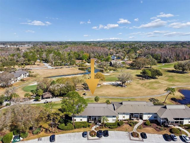 29129 BAY HOLLOW DRIVE 3202, Wesley Chapel, FL 33543