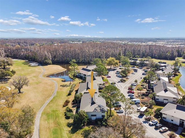 29129 BAY HOLLOW DRIVE 3202, Wesley Chapel, FL 33543