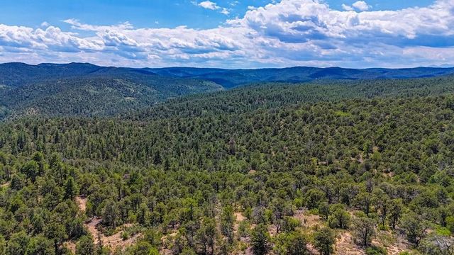 31300 Timber Canyon Rd, Trinidad, CO 81082