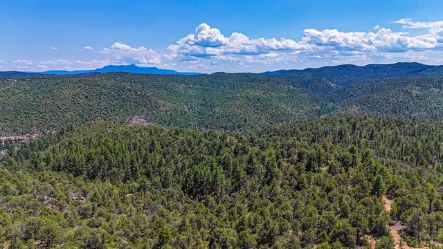31300 Timber Canyon Rd, Trinidad, CO 81082