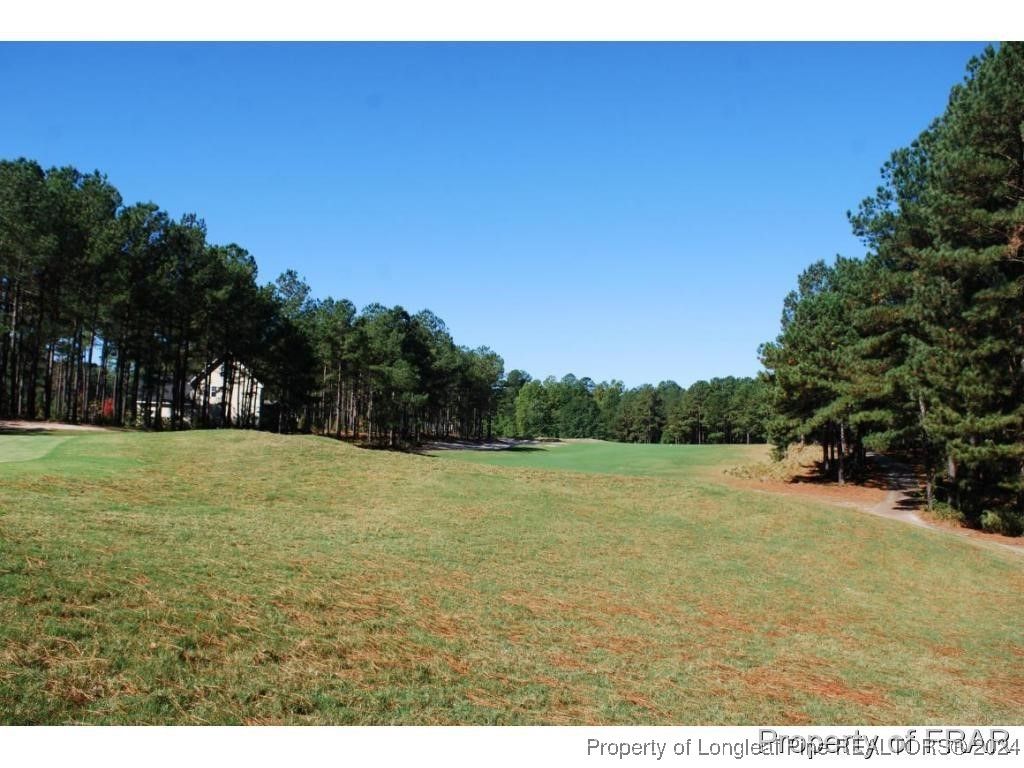 45 Broadlake (479) Lane, Spring Lake, NC 28390 — photo 10