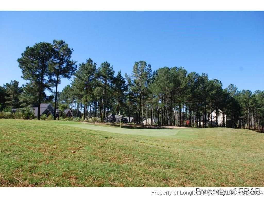 45 Broadlake (479) Lane, Spring Lake, NC 28390 — photo 11