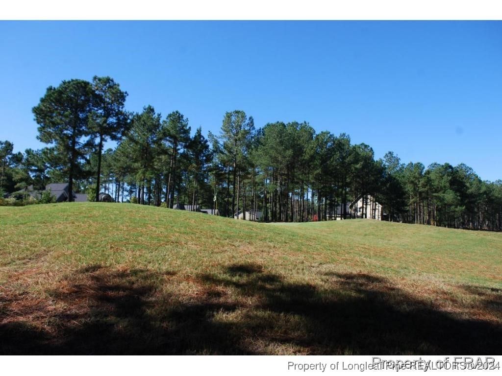 45 Broadlake (479) Lane, Spring Lake, NC 28390 — photo 12