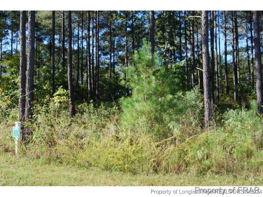 45 Broadlake (479) Lane, Spring Lake, NC 28390 — photo 2